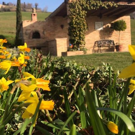 Casale Delle Rondini Bed and Breakfast Tolentino Εξωτερικό φωτογραφία