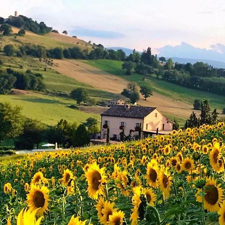 Casale Delle Rondini Bed and Breakfast Tolentino Εξωτερικό φωτογραφία