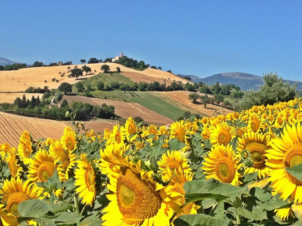 Casale Delle Rondini Bed and Breakfast Tolentino Εξωτερικό φωτογραφία
