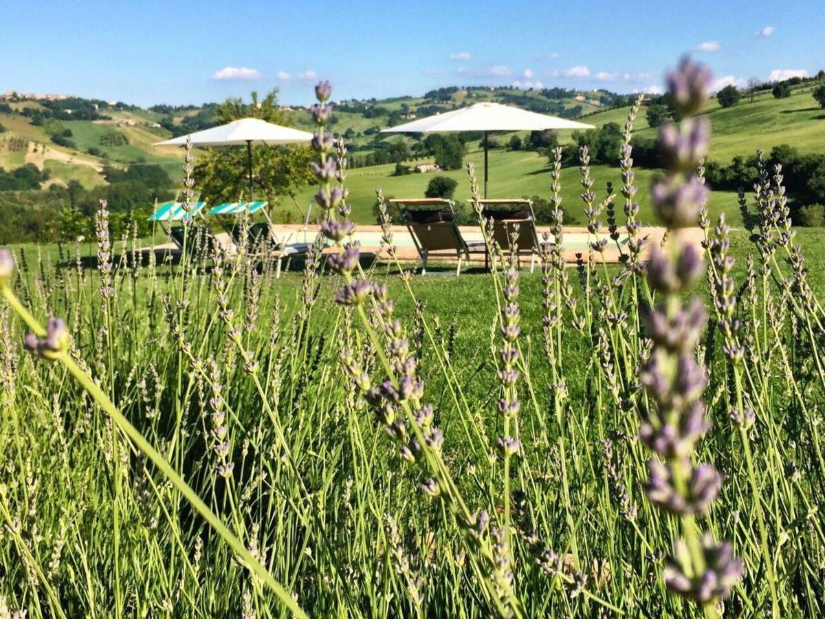 Casale Delle Rondini Bed and Breakfast Tolentino Εξωτερικό φωτογραφία