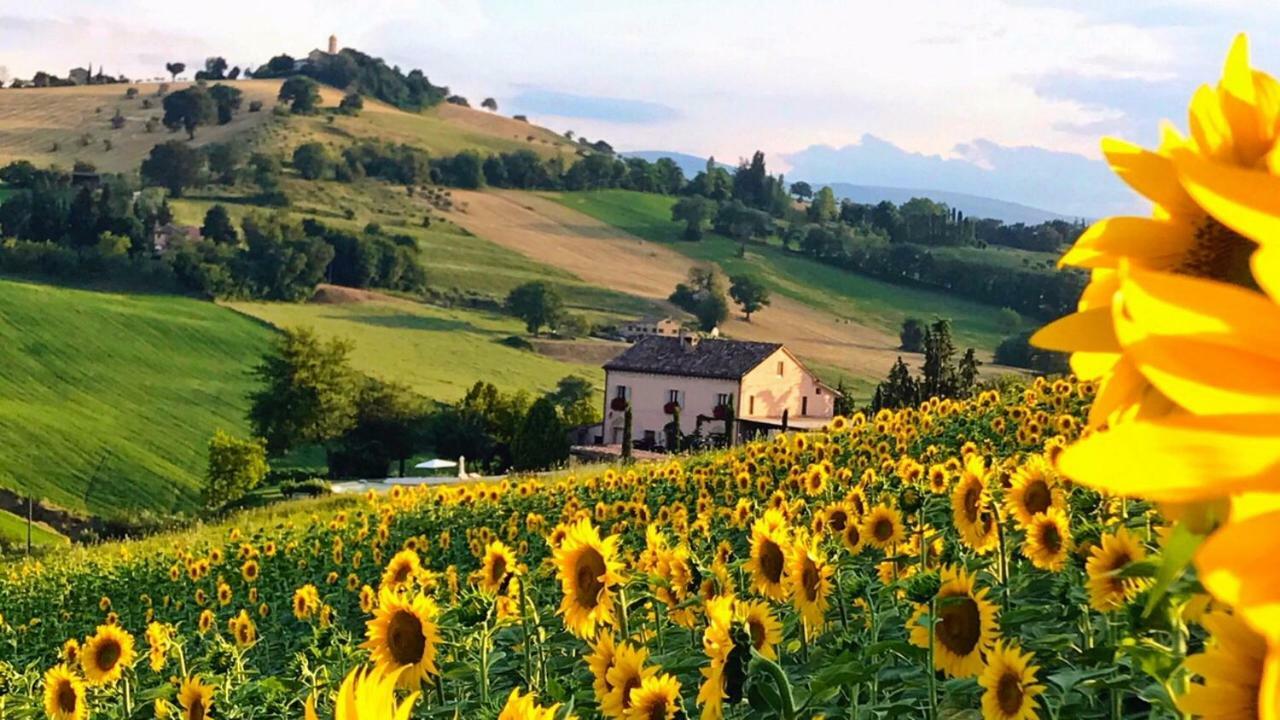 Casale Delle Rondini Bed and Breakfast Tolentino Εξωτερικό φωτογραφία