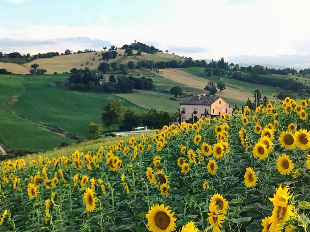 Casale Delle Rondini Bed and Breakfast Tolentino Εξωτερικό φωτογραφία